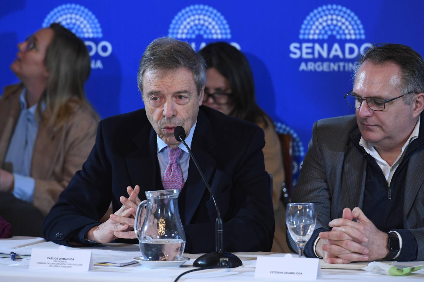 “El RIGI solo iguala condiciones con los competidores, no otorga beneficios extraordinarios”