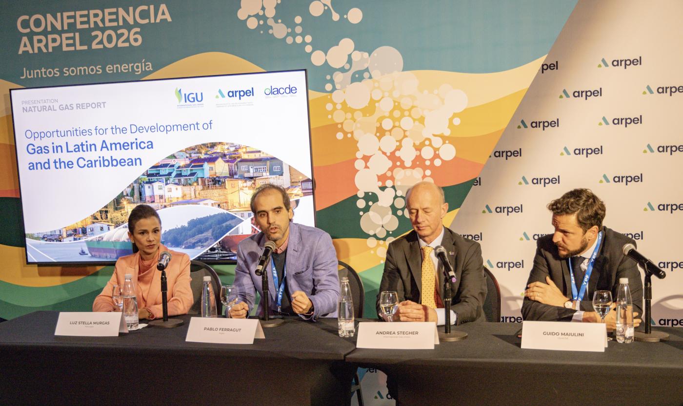 Vaca Muerta puede centralizar la integración energética regional